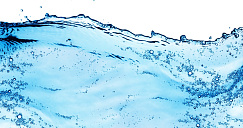 Микробиологические показатели качества воды