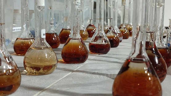 Данные ИЦ МГУЛАБ помогут повысить урожайность до 20%