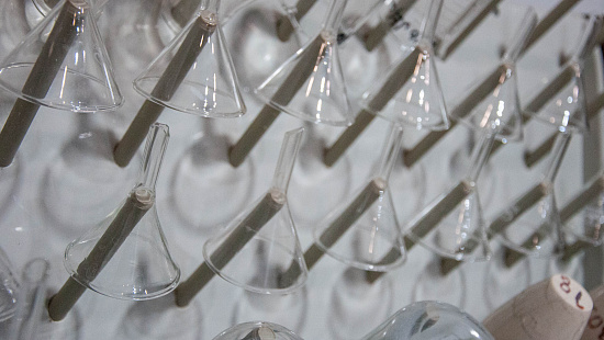 Токсикологический анализ почвы