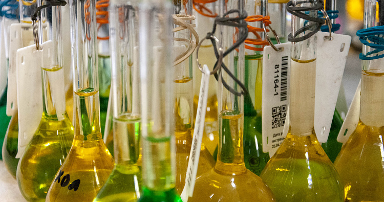 «От точных анализов к точному земледелию: партнерство «МГУЛАБ» и «Проба Бел»