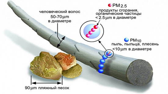 Микроскопическая угроза: частицы PM10 и PM2,5