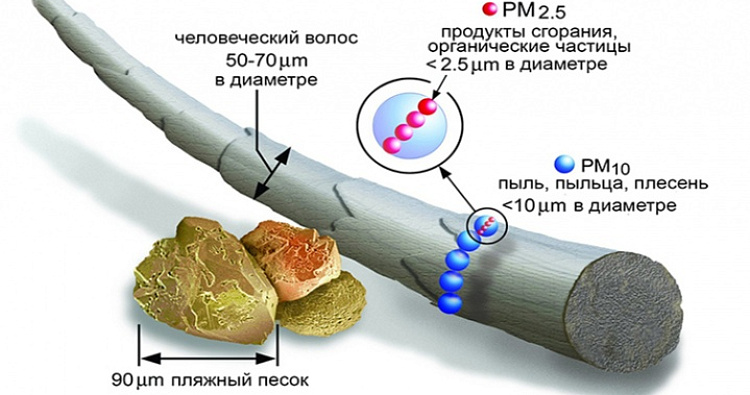 Микроскопическая угроза: частицы PM10 и PM2,5